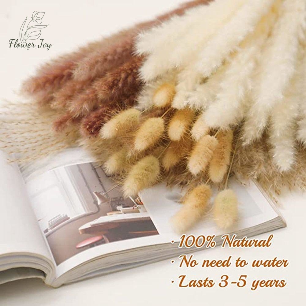 Perfect Pampas 100pc