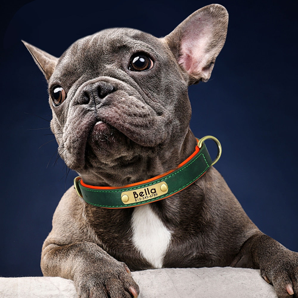 LeatherMate™ Dog Collar