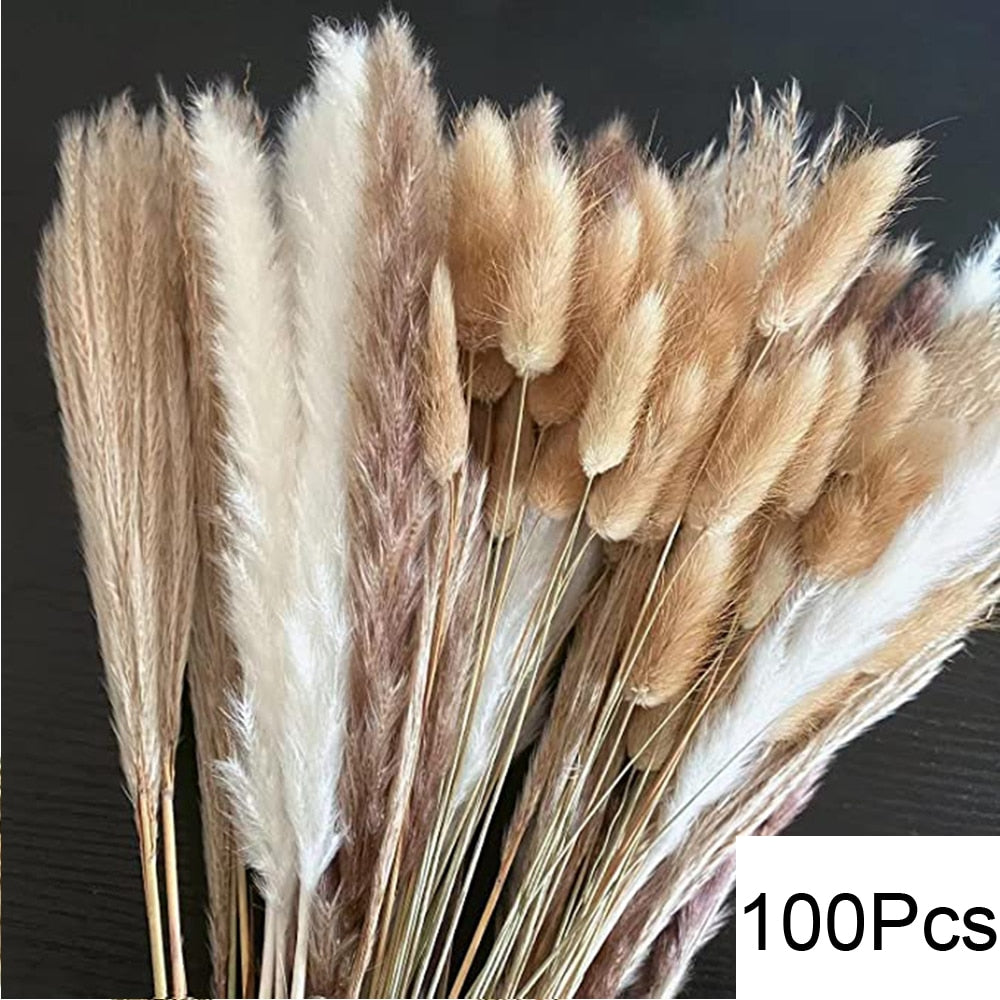 Perfect Pampas 100pc