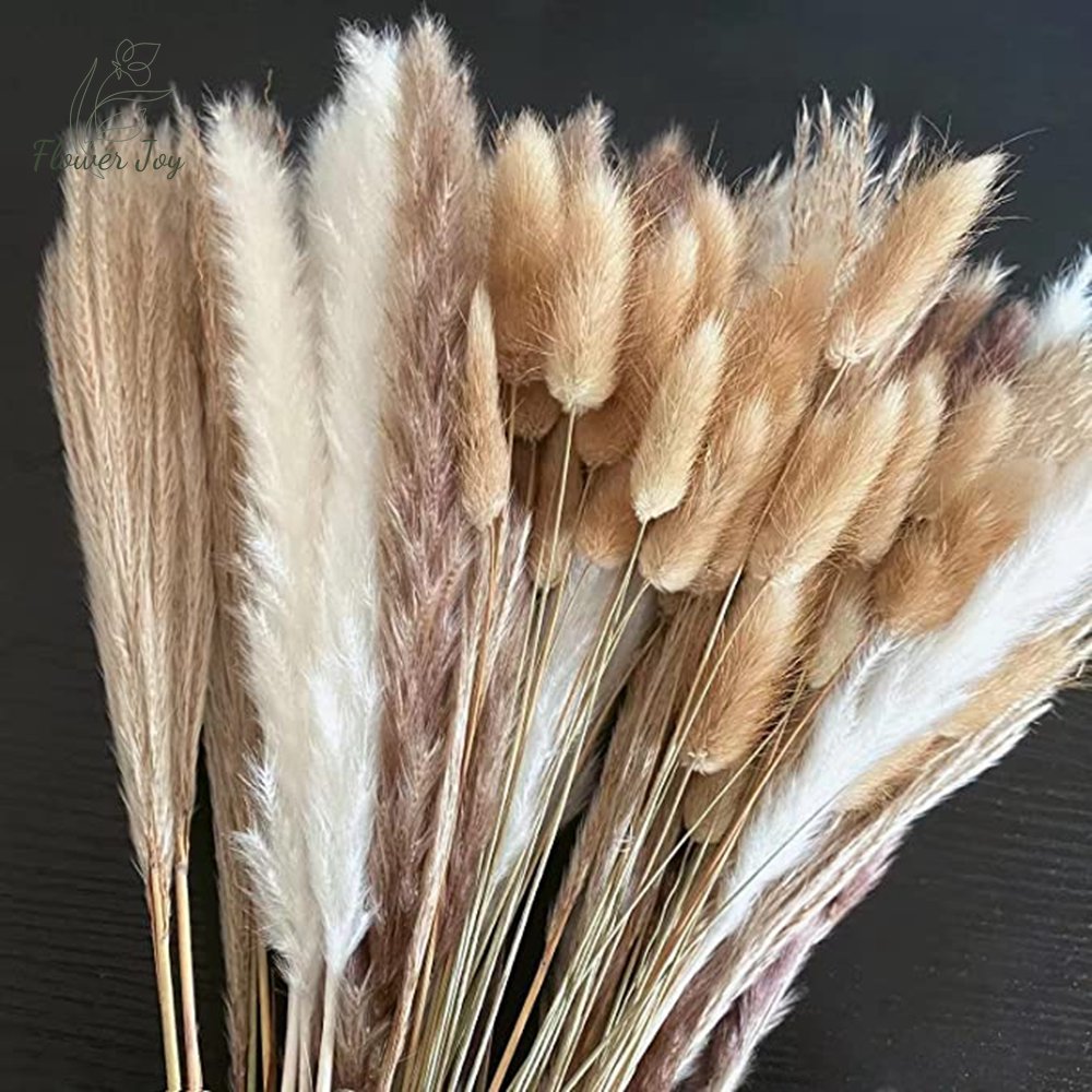 Perfect Pampas 100pc